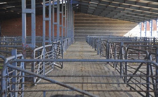 Instalaciones vacías del mercado de ganado de Medina del Campo. / F. J.
