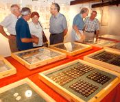 Visitantes observan las colecciones de la exposición. 