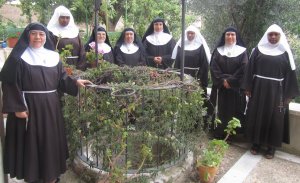 Ocho de las nueve hermanas de la comunidad de Santa Clara en Medina de Rioseco. :: LORENA SANCHO
