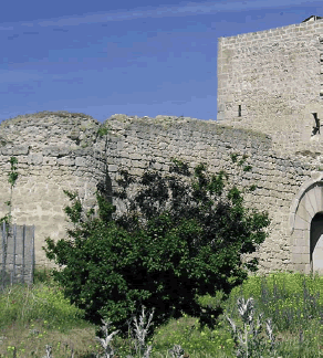 Castillo de Fuente el Sol. S. XV.