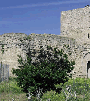 Castillo de Fuente el Sol. S. XV.