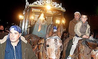 Las mulas tiran del carruaje que porta la Virgen de los Pegotes de Nava. Ivn Lozano 
