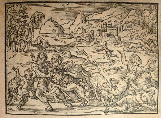 Biblia Sacra ... cum Hebraicorum nominum interpretatione. Lyon: Guillaume Rouillé, 1563