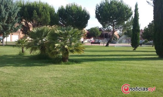 Aspecto renovado de la jardinería en Medina del Campo (Foto: Ayuntamiento Medina del Campo).