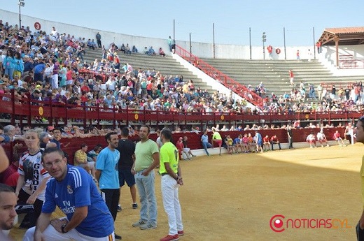 Medina del Campo acogerá la Feria del Caballo