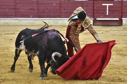 Perera indulta un toro de Julio de la Puerta en Medina del Campo y sale a hombros con López Chaves.