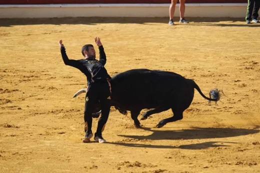 César Fernández, triunfador nacional en el memorial 'Pinturas'.