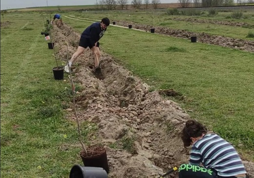 Plantación en 'La Golosa' en el mes de abril Ayuntamiento de Medina del Campo