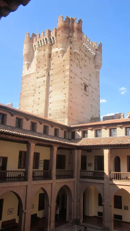 El Castillo de la Mota Fotografía Aster Magonia cedida a EL ESPAÑOL de Castilla y León