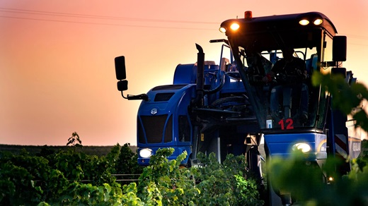 Vendimia Nocturna de la Bodega Cuatro RayasRuta del Vino de RuedaRuta del Vino de Rueda