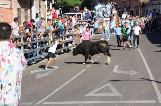 Toro de la Feria 2024 // Foto: Paula de la Fuente