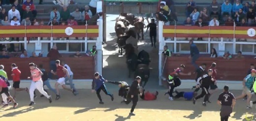 Accidentada entada en la Plaza de Toros de Medina del Campo.