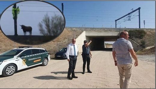 El subdelegado del Gobierno en Valladolid, junto con responsables de ADIF y la Guardia Civil, han inspeccionado el paso bajo la vía del AVE en Medina // Fuente: subdelegación Gobierno