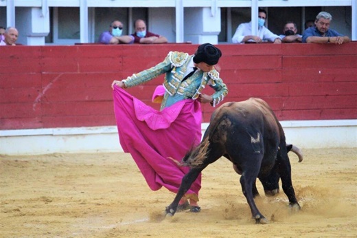 Corrida de toros en Medina del Campo