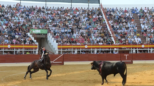 Corrida de toros en Medina del Campo.