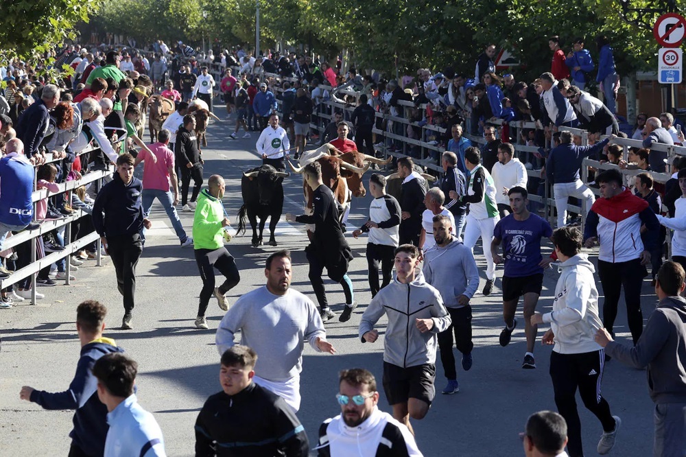 REPORTAJE FOTOGRÁFIO DEL ENCIERROS DEL DÍA 7 DE SEPTIEMBRE DE 2024 EN MEDINA DEL CAMPO.