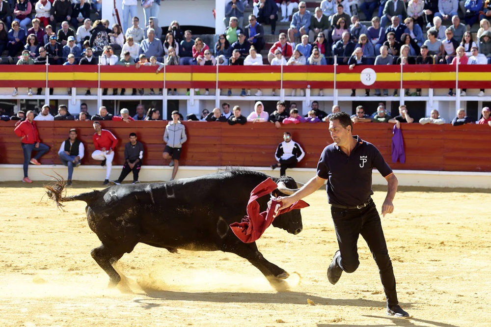 REPORTAJE FOTOGRÁFIO DEL ENCIERROS DEL DÍA 7 DE SEPTIEMBRE DE 2024 EN MEDINA DEL CAMPO.