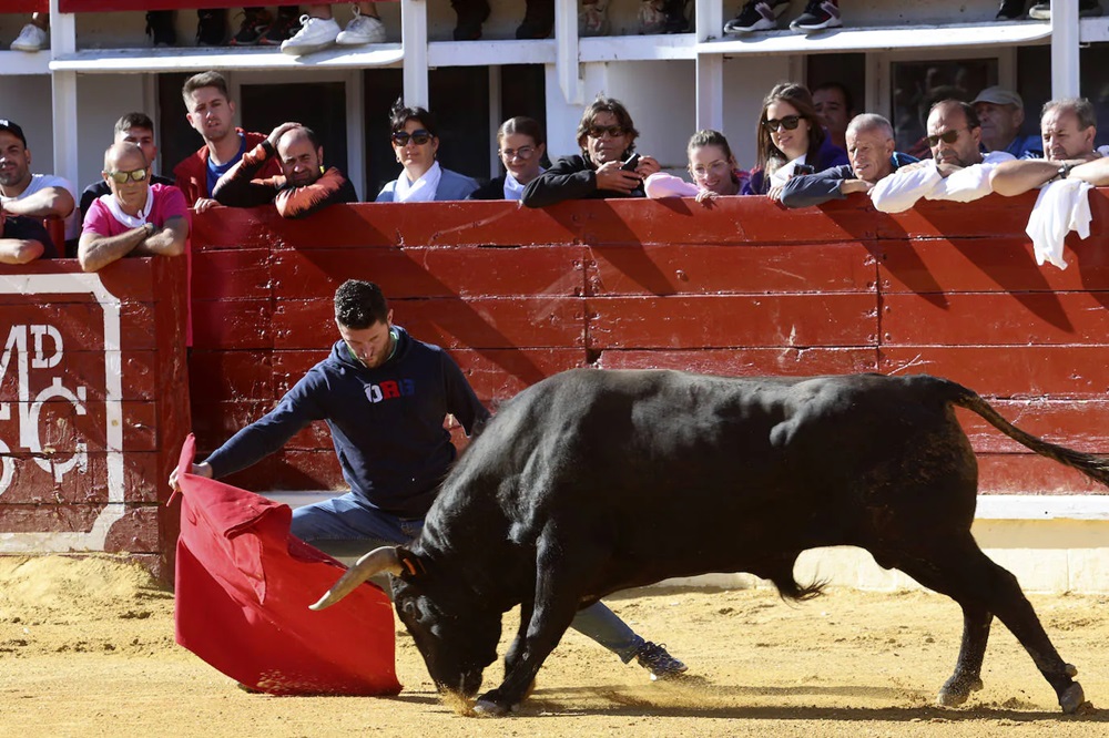 REPORTAJE FOTOGRÁFIO DEL ENCIERROS DEL DÍA 7 DE SEPTIEMBRE DE 2024 EN MEDINA DEL CAMPO.