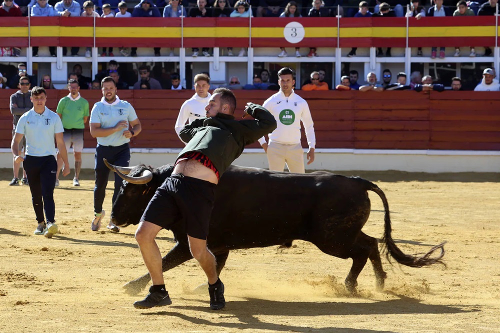 REPORTAJE FOTOGRÁFIO DEL ENCIERROS DEL DÍA 7 DE SEPTIEMBRE DE 2024 EN MEDINA DEL CAMPO.