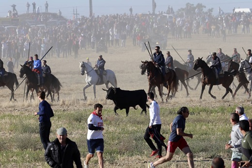 Quinto Encierro Tradicional al Estilo de la Villa