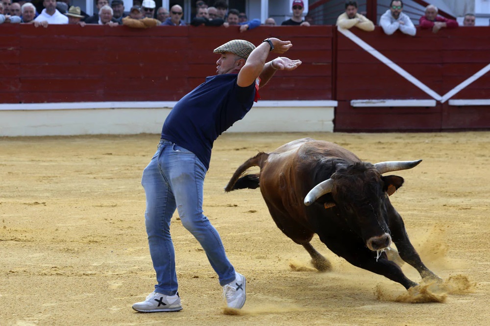 REPORTAJE FOTOGRÁFIO DEL ENCIERROS DEL DÍA 8 DE SEPTIEMBRE DE 2024 EN MEDINA DEL CAMPO. ( REGRESAMOS )