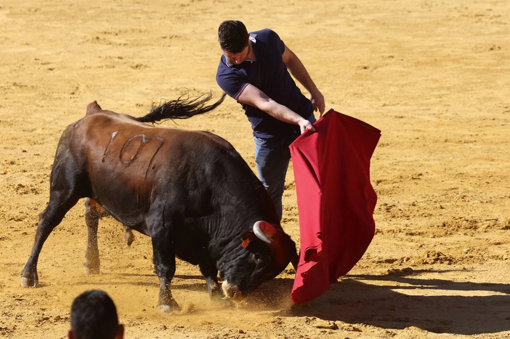 REPORTAJE FOTOGRÁFIO DEL ENCIERROS DEL DÍA 8 DE SEPTIEMBRE DE 2024 EN MEDINA DEL CAMPO. ( REGRESAMOS )