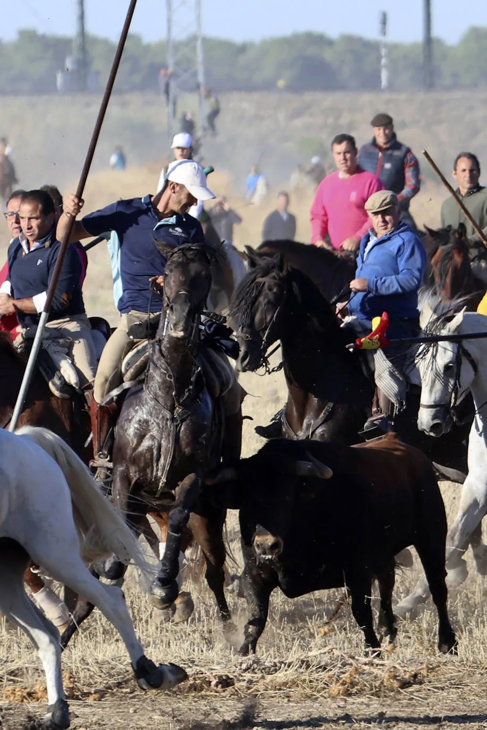 REPORTAJE FOTOGRÁFIO DEL ENCIERROS DEL DÍA 8 DE SEPTIEMBRE DE 2024 EN MEDINA DEL CAMPO. ( REGRESAMOS )