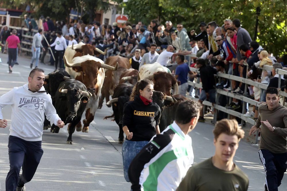 REPORTAJE FOTOGRÁFIO DEL ENCIERROS DEL DÍA 8 DE SEPTIEMBRE DE 2024 EN MEDINA DEL CAMPO. ( REGRESAMOS )