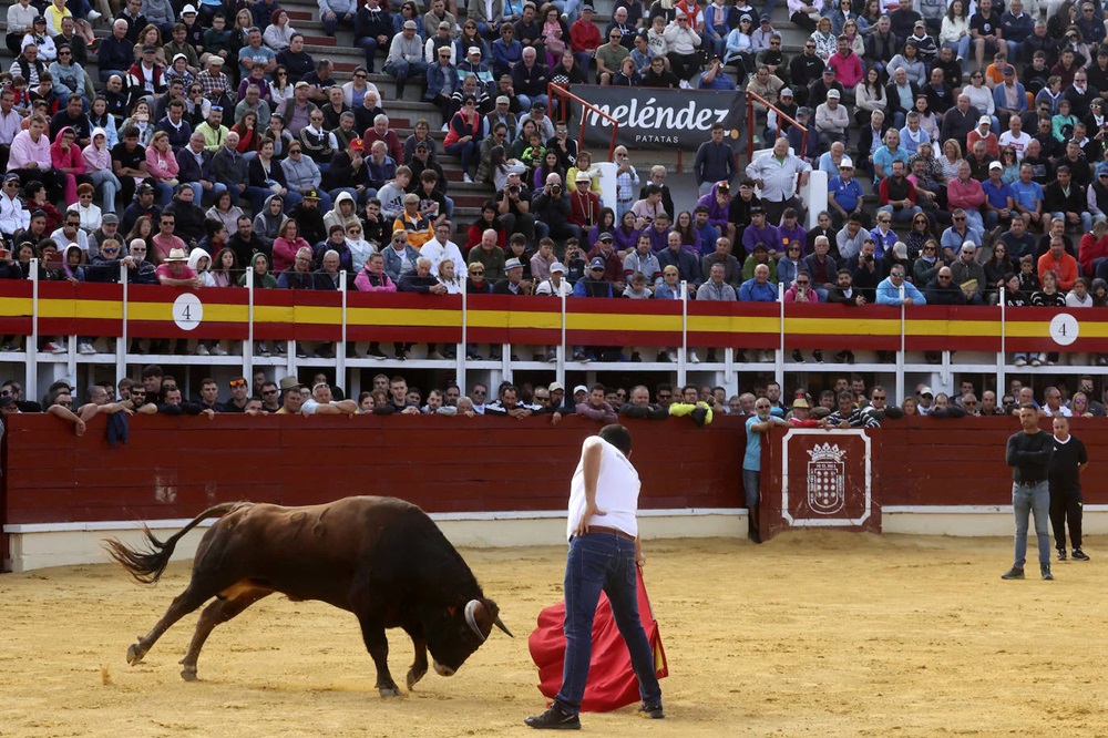 REPORTAJE FOTOGRÁFIO DEL ENCIERROS DEL DÍA 8 DE SEPTIEMBRE DE 2024 EN MEDINA DEL CAMPO. ( REGRESAMOS )