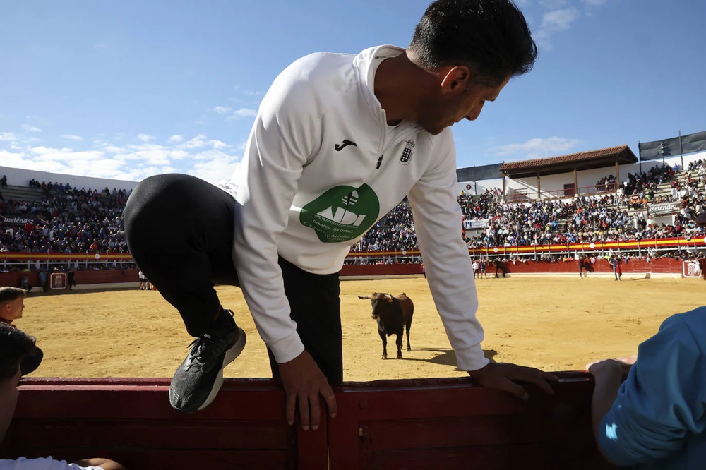 REPORTAJE FOTOGRÁFIO DEL ENCIERROS DEL DÍA 8 DE SEPTIEMBRE DE 2024 EN MEDINA DEL CAMPO. ( REGRESAMOS )