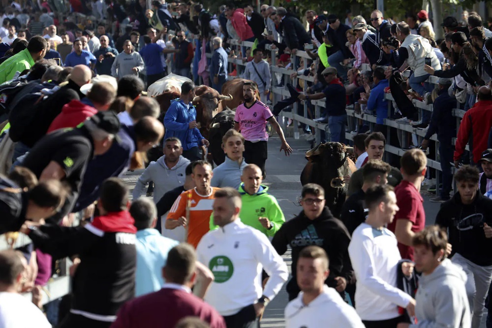 REPORTAJE FOTOGRÁFIO DEL ENCIERROS DEL DÍA 8 DE SEPTIEMBRE DE 2024 EN MEDINA DEL CAMPO. ( REGRESAMOS )