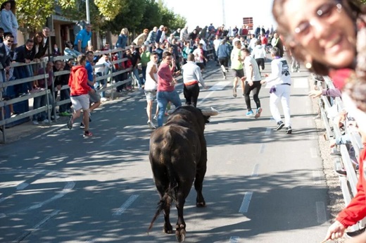 Encierro de Medina del Campo // Foto: Fermín Rodríguez