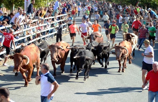 Los encierros de Medina del Campo, Fiesta de Interés Turístico Nacional