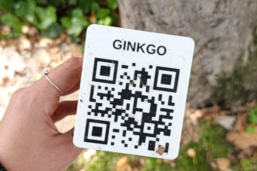 Nuevos códigos QR en el Paseo de VersallesE.M.