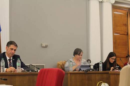 Alberto Amigo y Atenea Santana en el pleno extraordinario // Paula de la Fuente