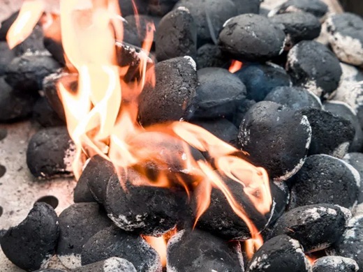Unos trozos de carbón quemándose generan suficiente energía térmica para asar vegetales y carnes.
