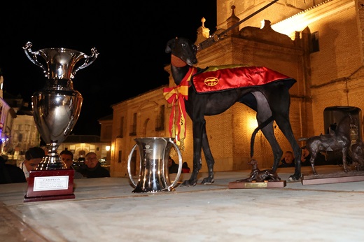 MORERÍA DE LA SUERTE (CYL). Campeona de España LXXXVII Campeonato de España de Galgos en Campo