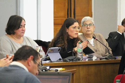 Atenea Santana en el pleno ordinario de enero // Paula de la Fuente