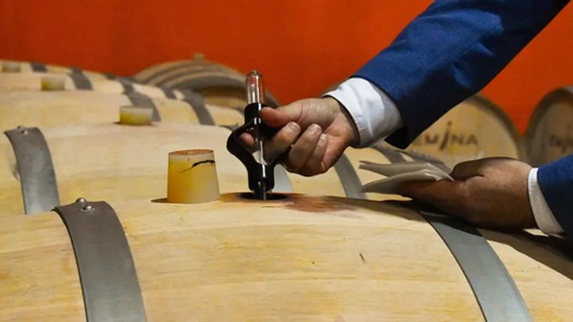Bodega Emina Bodega Emina