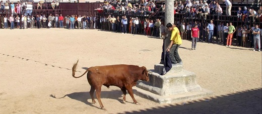 Encierro en la localidad abulense de Madrigal de las Altas TorresIcal
