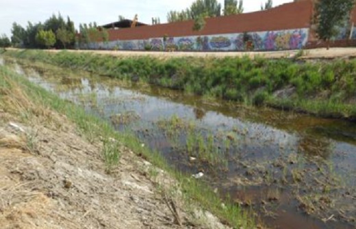 Medina del Campo acometerá una “limpieza profunda” en la salida del río Zapardiel a la altura de Barrientos.