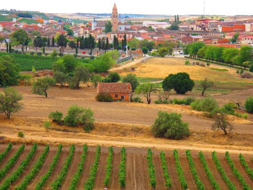 Foto Ayuntamiento de Rueda Foto Ayuntamiento de Rueda