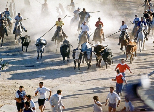 Confirmadas las ganaderías para los encierros de Medina del Campo 2025